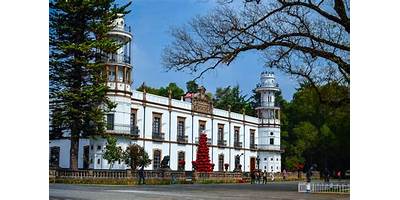CENDI UNIVERSIDAD DE CHAPINGO