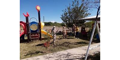 Imagen de la galería