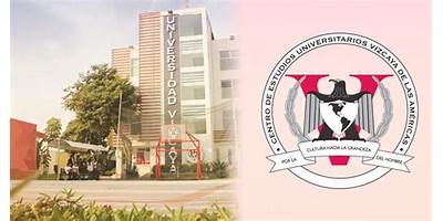 COMUNIDAD INFANTIL Y PREESCOLAR VIZCAYA