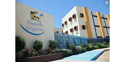 DESARROLLO INFANTIL PEQUEÑO GIGANTE A.C.