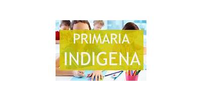 EDUCACION INICIAL INDIGENA