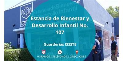 ESTANCIA DE BIENESTAR Y DESARROLLO INFANTIL NUM. 82