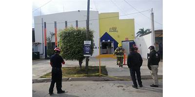 ESTANCIA INFANTIL LOS GIRASOLES, S.C.