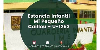 ESTANCIA INFANTIL MI PEQUEÑO CAILLOU, A.C.