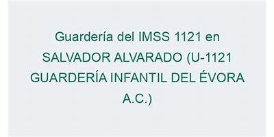 GUARDERIA INFANTIL DEL EVORA, A.C.