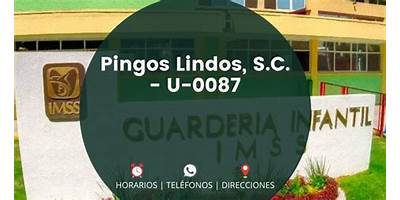 GUARDERIA INFANTIL PINGOS LINDOS, S.C.