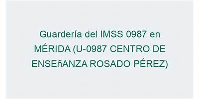 GVC CENTRO DE ENSEÑANZA ROSADO PEREZ