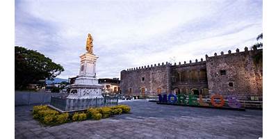 HICKORY DE CUERNAVACA