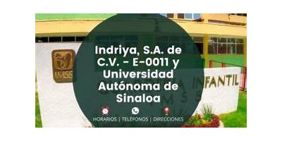 INDRIYA S.A. DE C.V