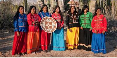 INICIAL INDÍGENA NUEVA CREACIÓN