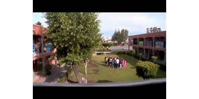 INSTITUTO D'AMICIS, S.C.