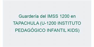 INSTITUTO PEDAGOGICO INFANTIL KIDS