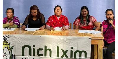 NICH IXIM