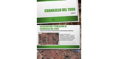 PREESCOLAR COMUNITARIO CUANAJILLO DEL TORO