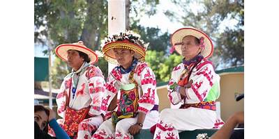 PREESCOLAR COMUNITARIO INDIGENA-LA MESA DEL JABALÍ (MARRANO PARADO)
