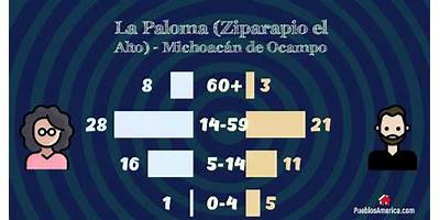 PREESCOLAR COMUNITARIO LA PALOMA (ZIPARAPIO EL ALTO)
