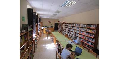 Imagen de la galería