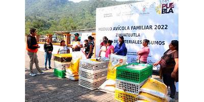 PREESCOLAR COMUNITARIO RURAL LOS MANGUITOS