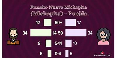 PREESCOLAR COMUNITARIO RURAL RANCHO NUEVO MICHAPITA