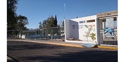 Imagen de la galería