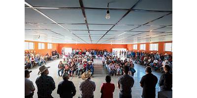 Imagen de la galería