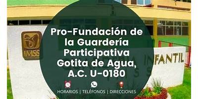 PRO FUNDACION DE LA GUARDERIA PARTICIPATIVA GOTITA DE AGUA, A.C.