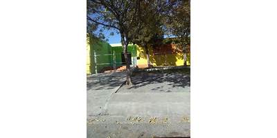 UNIDAD DE EDUCACION INFANTIL