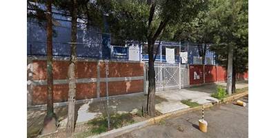 CARLOS PELLICER