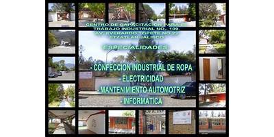 Imagen de la galería
