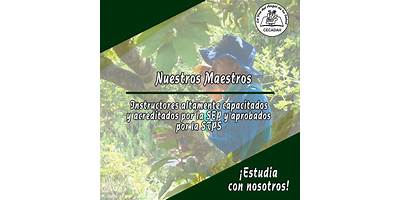 CENTRO DE CAPACITACION Y ADIESTRAMIENTO PARA ASESORES HERBOLARIOS LA VOZ DEL ANGEL DE TU SALUD
