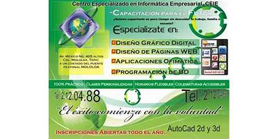 CENTRO EJECUTIVO EN COMPUTACION EMPRESARIAL