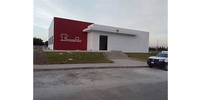Imagen de la galería