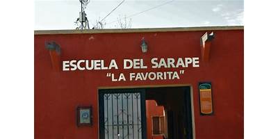 ESCUELA DEL SARAPE LA FAVORITA