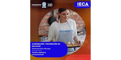 IECA PLANTEL IRAPUATO