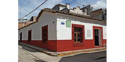 IGNACIO M. ALTAMIRANO