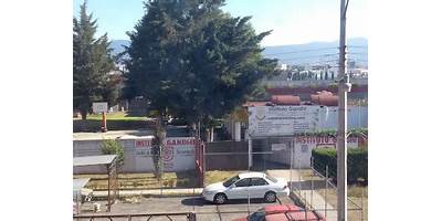 Imagen de la galería