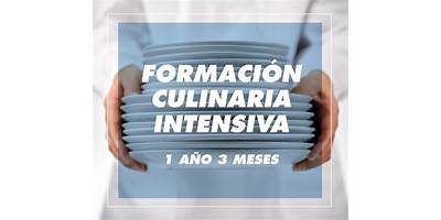 INSTITUTO CULINARIO SANTA LUCIA ICSAL A.C.