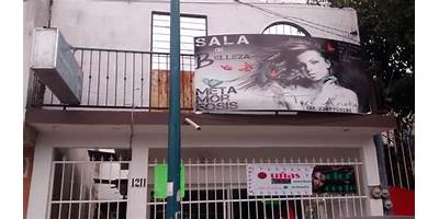 Imagen de la galería