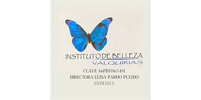INSTITUTO DE BELLEZA VALQUIRIAS