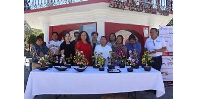 INSTITUTO DE CAPACITACION PARA EL TRABAJO UNIDAD AMOZOC DE MOTA