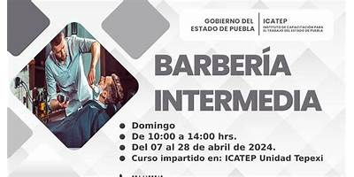 INSTITUTO DE CAPACITACION PARA EL TRABAJO UNIDAD TEPEXI DE RODRIGUEZ