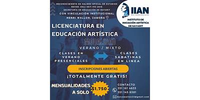 INSTITUTO DE EXPRESION ARTISTICA IDEA