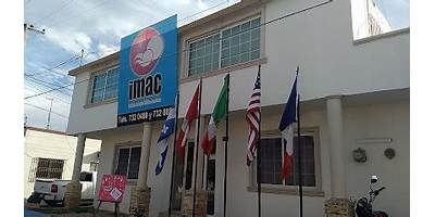 Imagen de la galería