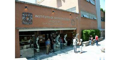 INSTITUTO EDUCATIVO EN BIOTECNOLOGIA DENTAL APOLONIA