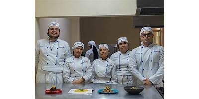INSTITUTO GASTRONOMICO CASSEROLE