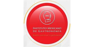 INSTITUTO MEXICANO DE GASTRONOMIA