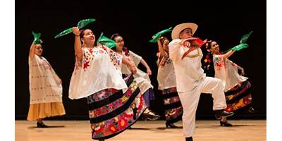 INSTITUTO MEXICANO DE LA DANZA