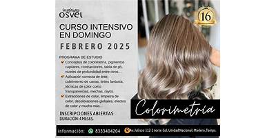 INSTITUTO OSVEL