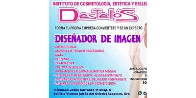 INSTITUTO PROFESIONAL DE BELLEZA DESTELLOS-COLOSO