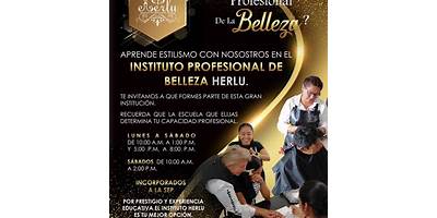 INSTITUTO PROFESIONAL DE BELLEZA HERLU